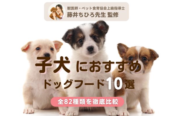 【獣医師監修】子犬用ドッグフードおすすめ人気ランキング10選【安心×食いつきを重視！】